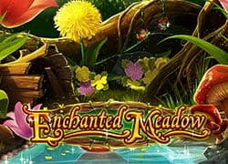 Enchanted Meadow