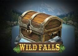 Wild Falls