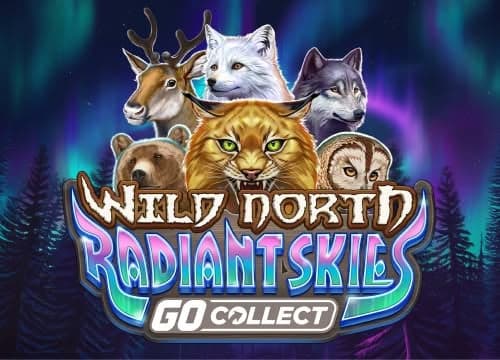 Wild North Radiant Skies Go Collect